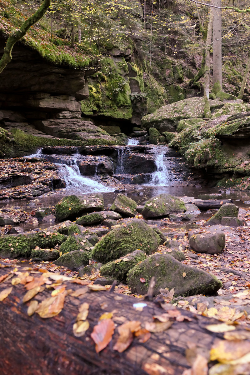 Kurze Runde Monbachtal