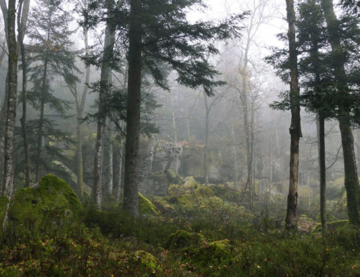 Zauberhafte Erlebnisse beim Wandern im Nordschwarzwald