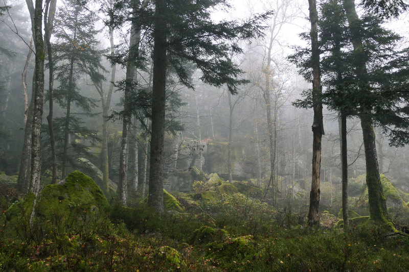 Zauberhafte Erlebnisse beim Wandern im Nordschwarzwald