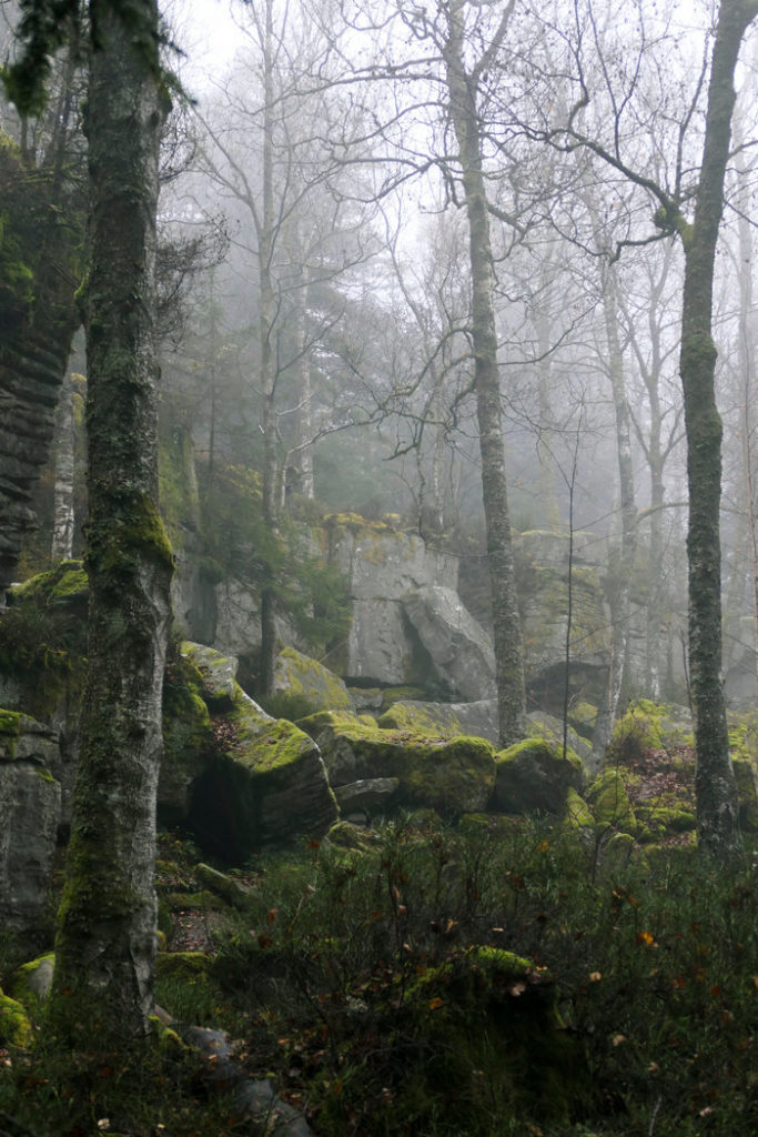 Wandern im Nordschwarzwald am Volzemer Stein