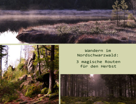 Wandern im Nordschwarzwald drei Routen für den Herbst