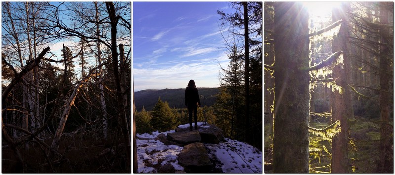 Aussichtspunkt Dobelblick mit der legendären Jägerschaukel - Schwarzwald- Wanderziel mit weitem Blick über die dichten Wälder