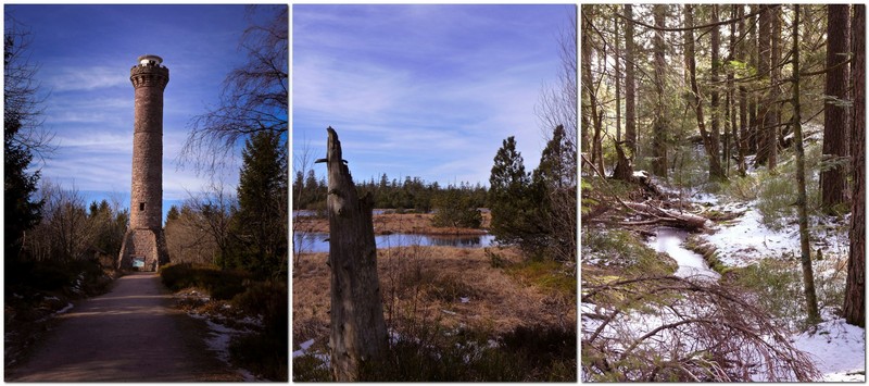 Der stille Hohlohsee und der historische Hohlohturm im Schwarzwald - mystische Wanderkulisse zwischen Moor und Panoramablick