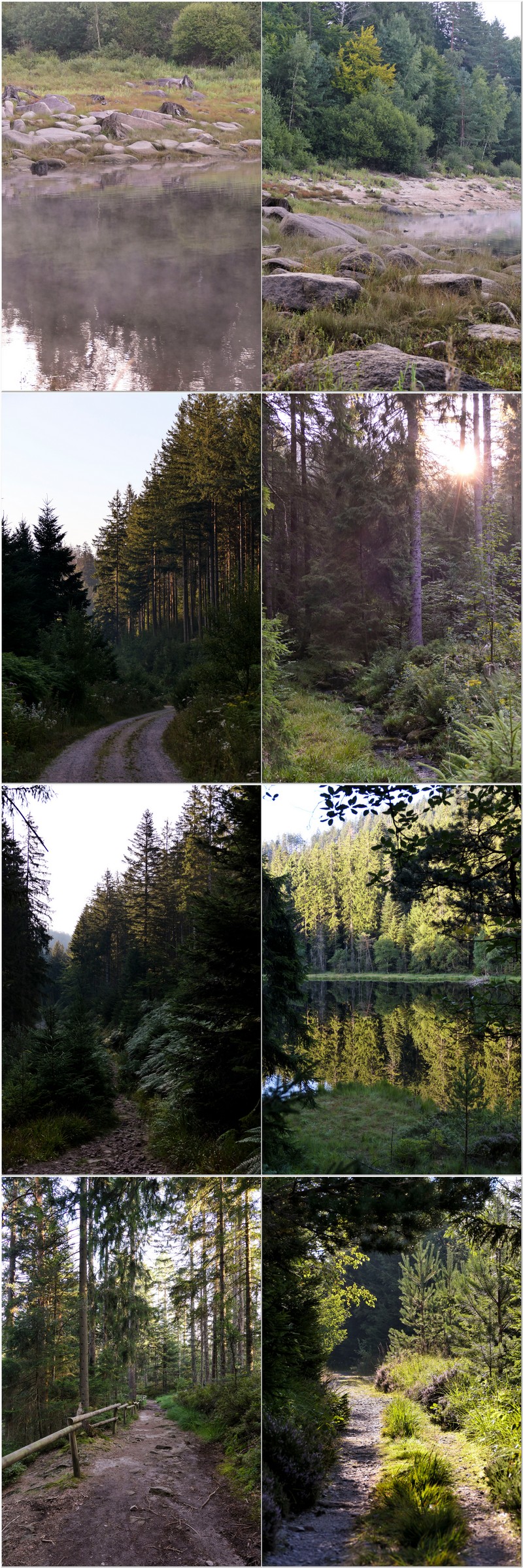 Wanderung im Nordschwarzwald. Vom Stausee Schwarzwanbachtalsperre starten wir in Richtung Herrenwieser See - ein Karsee aus der Gletscherzeit