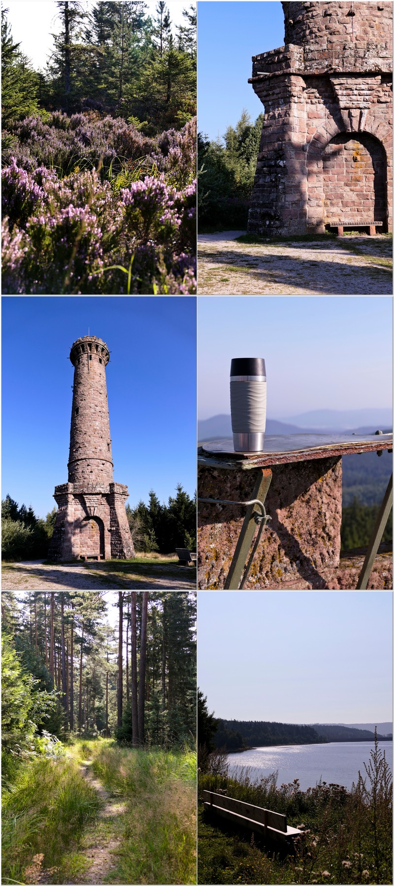 Durch Besenheide zur Badener Höhe und zum Friedrichturm - danach wieder zurück zur Schwarzwanbachtalsperre