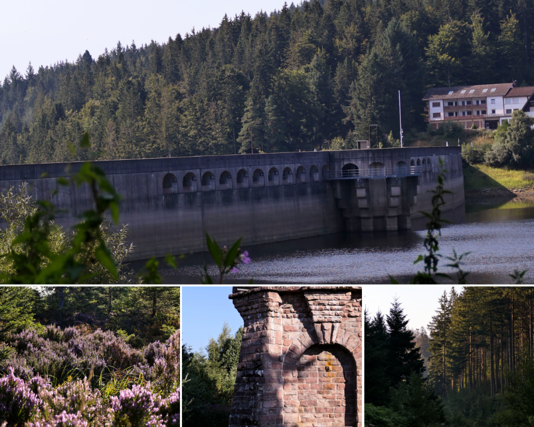 Wandern im Nordschwarzwald: Von der Schwarzenbachtalsperre zum Herrenwieser See und zur Badener Höhe