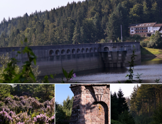 Wandern im Nordschwarzwald: Von der Schwarzenbachtalsperre zum Herrenwieser See und zur Badener Höhe