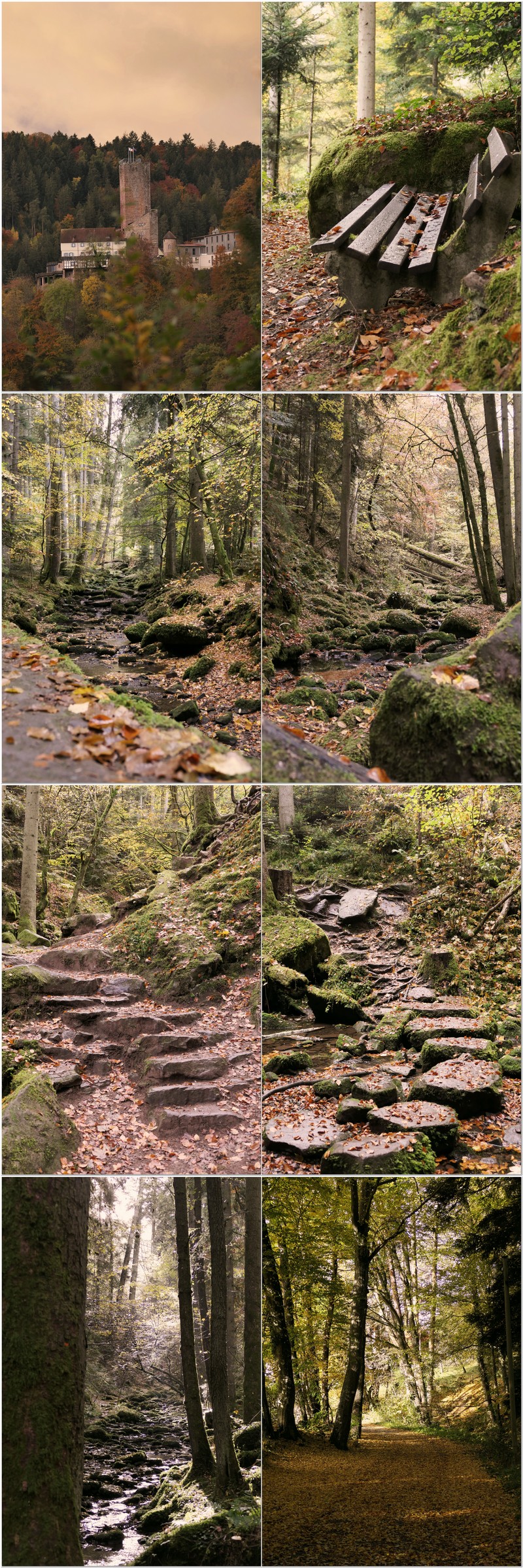 Burg Liebenzell entdecken und durchs Monbachtal wandern