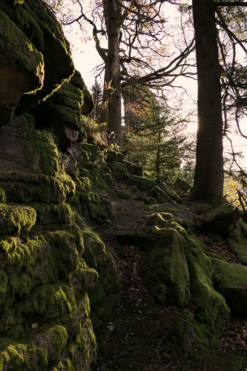 Durch das Labyrinth des Battert bei Baden-Baden