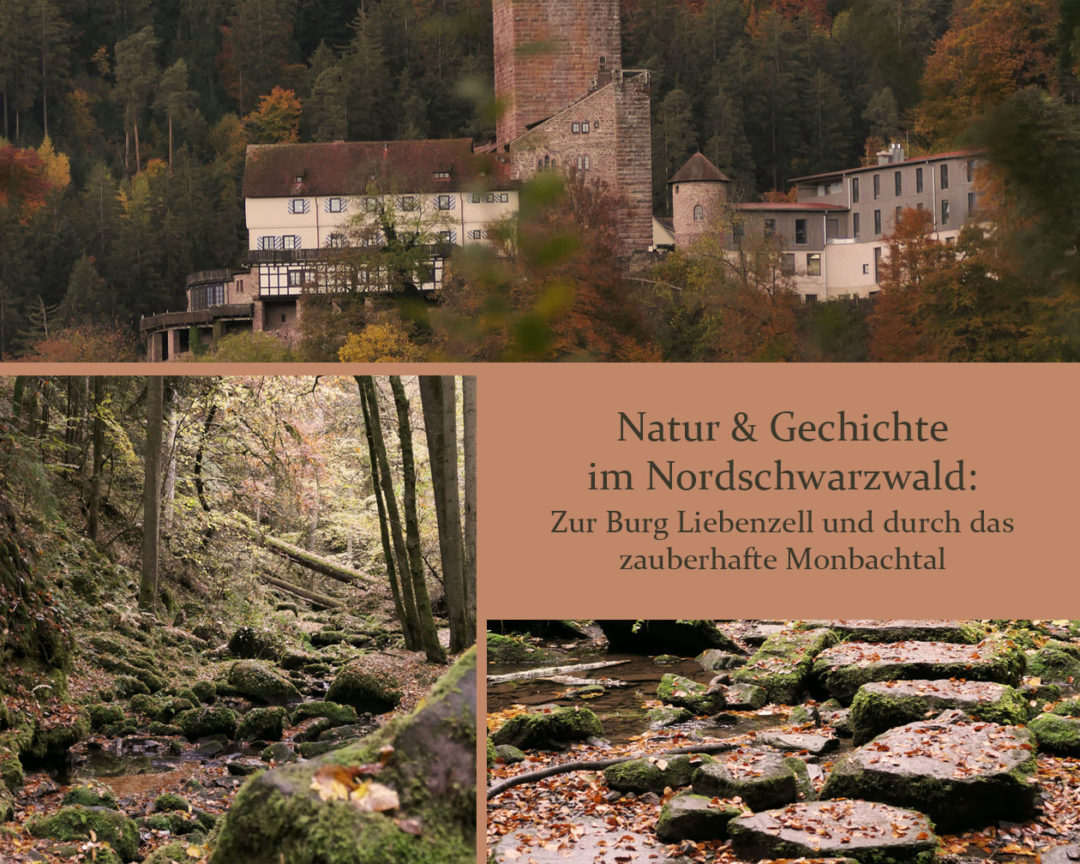 Wanderroute Nordschwarzwald Monbachtal