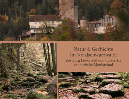 Wanderroute Nordschwarzwald Monbachtal