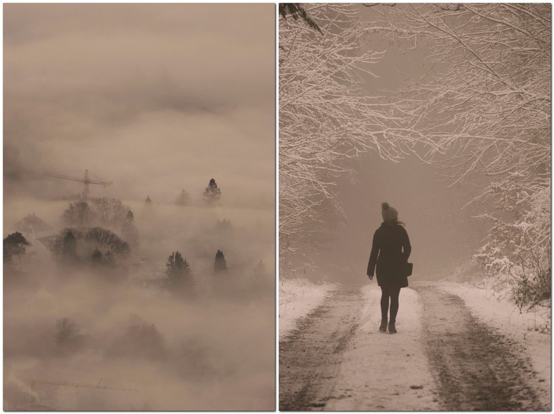 Nebelmeere und Frostmomente - Winter im Nordschwarzwald