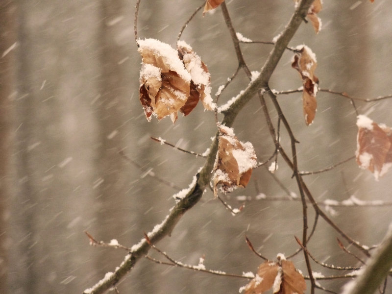 Der Winter ist Recovery Zeit