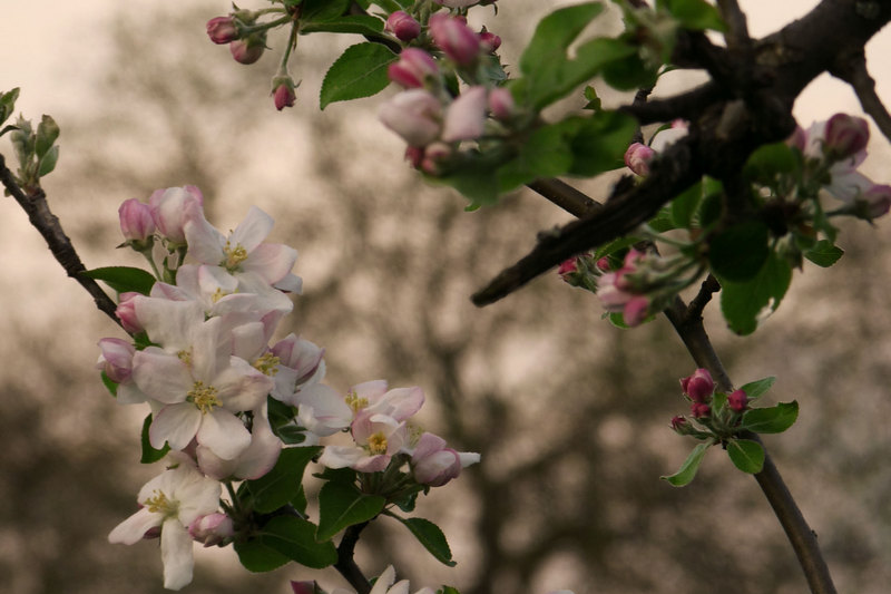 Wie die Natur deinen Kopf klärt und deine Ideen wachsen lässt