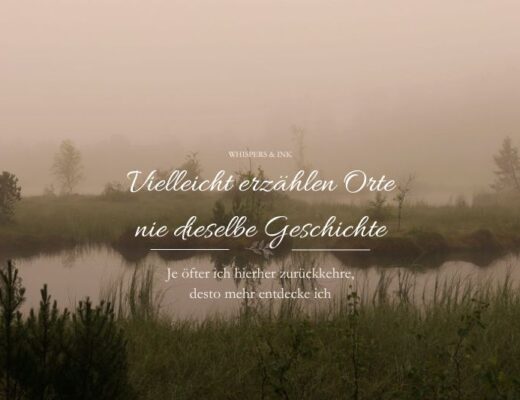 Ein Morgen am Moor