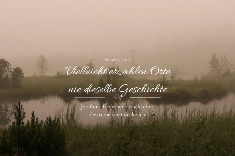 Ein Morgen am Moor