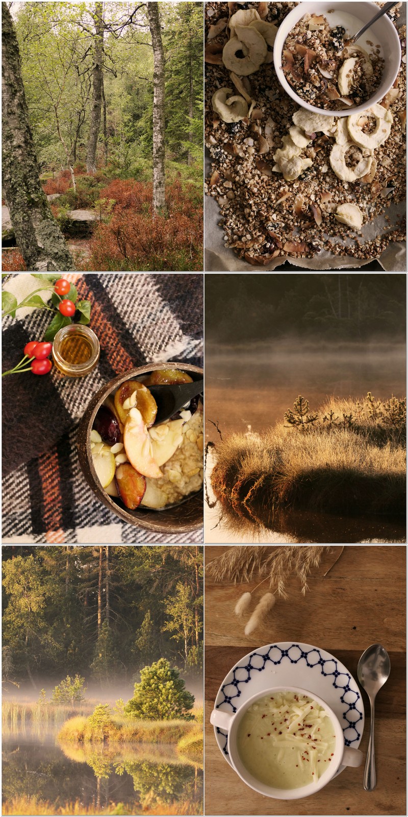 Ideen für einen langsamen Herbsttag