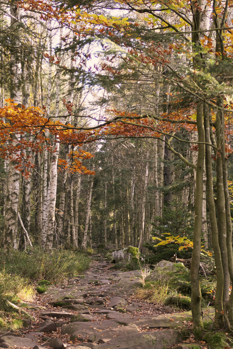 Ein Spaziergang im Herbst auf der Teufelsmühle im Nordschwarzwald